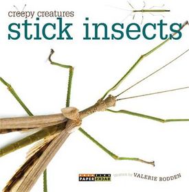 Stick Insects | Buy Online in South Africa | takealot.com