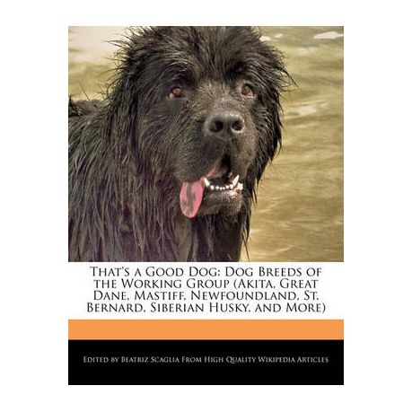 That's a Good Dog Shop Get it Tomorrow!