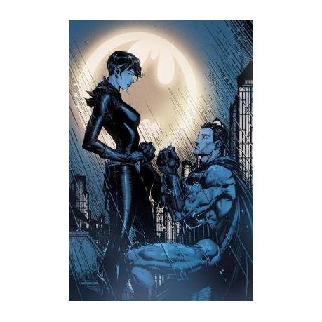 Batman/Catwoman: The Wedding Album - The Deluxe Edition | Buy Online in  South Africa 