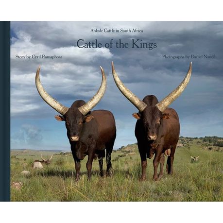 Cattle Of The Ages Buy Online In South Africa Takealot Com