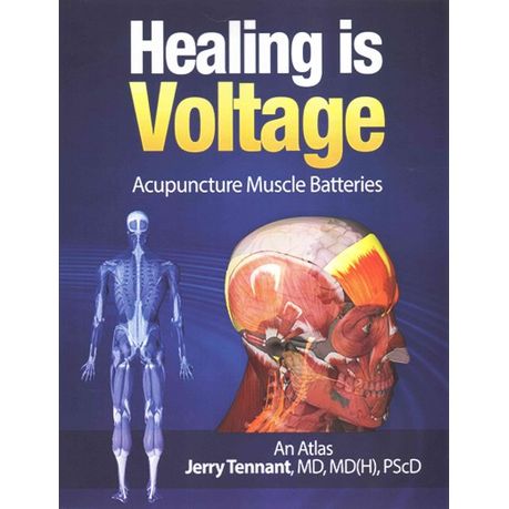 Paperback or Softback The Art of Healing with Biomagnetism Conquering Pain 
