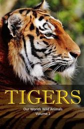 Tigers: Amazing Facts &amp; Pictures