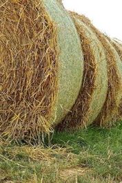 Freshly Rolled Straw Bales Journal: Take Notes, Write Down Memories in this 150 Page Lined Journal