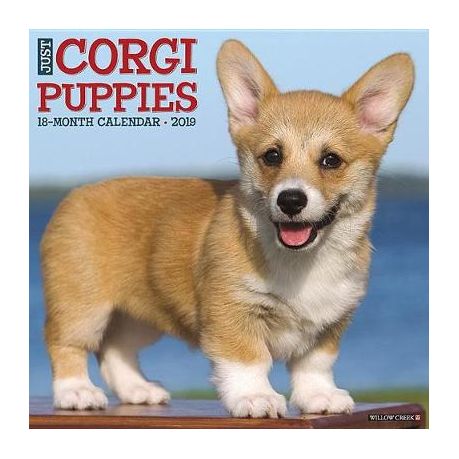 Just Corgi Puppies 2019 Wall Calendar Dog Breed Calendar Buy Online In South Africa Takealot Com