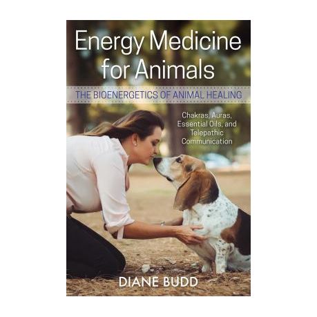 Energy Medicine for Animals: The Bioenergetics of Animal Healing | Buy  Online in South Africa 