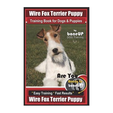 Training fox outlet terriers