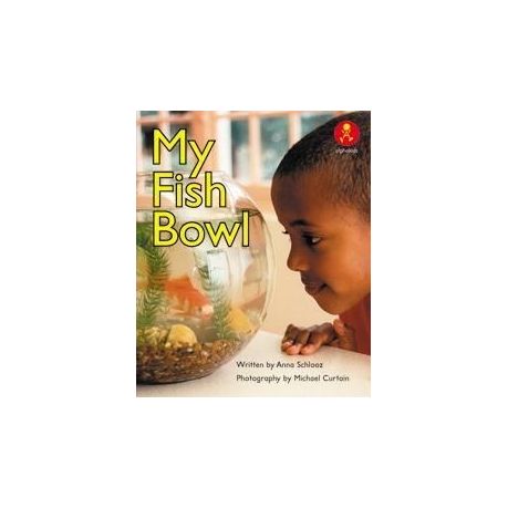 fish bowl buy online