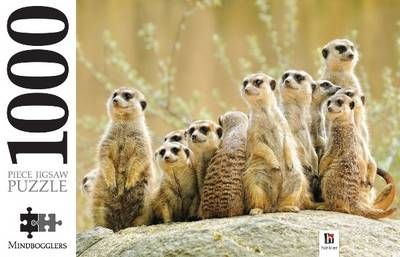 Meerkat Family 1000 Piece Jigsaw