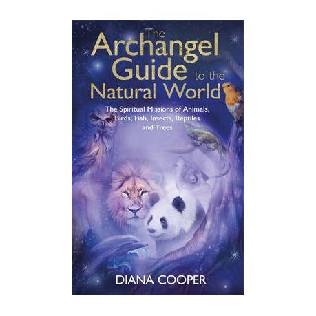 The Archangel Guide to the Animal World | Buy Online in South Africa |  