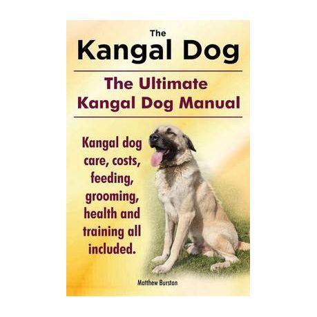 Kangal puppies best sale for sale price