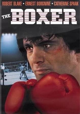 Boxer - (Region 1 Import DVD)