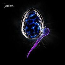 James - Night Before (CD)