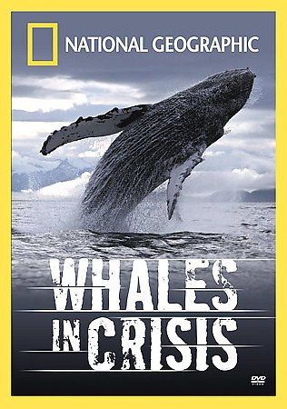 Whales in Crisis - (Region 1 Import DVD)