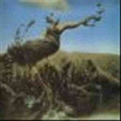 Steve Miro - Rude Intrusions/second Sentence/trile (CD)