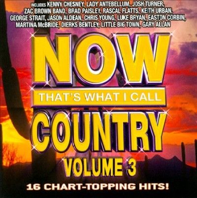 Now That's What I Ca - Now That's What I Call Country V3 (CD)