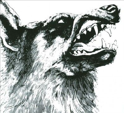 Crippled Black Phoen - I Vigilante (CD)