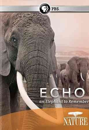 Nature:Echo Elephant to Remember - (Region 1 Import DVD)