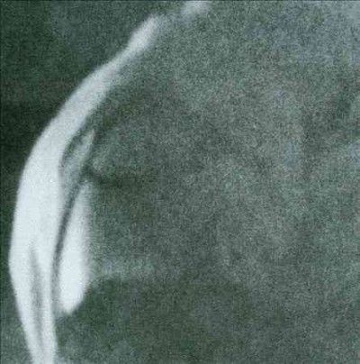 Heavy Winged - Sunspotted (CD)