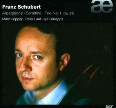 Schubert: Arpeggione/Sonatina/Trio No. 1, Op. 99 (CD / Album)