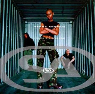 Skunk Anansie - Paranoid &amp; Sunburnt (Vinyl)