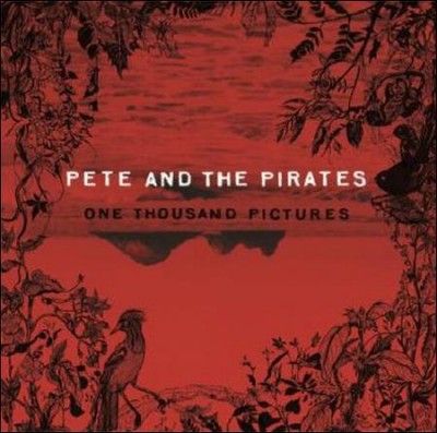 One Thousand Pictures (CD / Album)