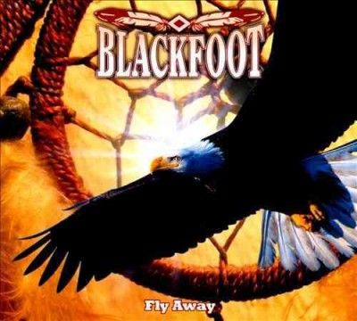 Fly Away (CD / Album with DVD)