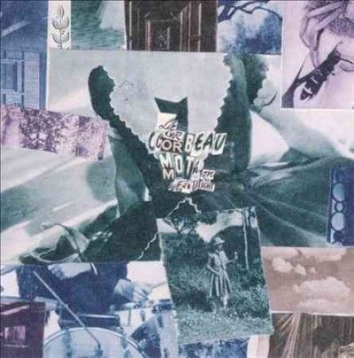 Moth On the Headlight (CD / Album)