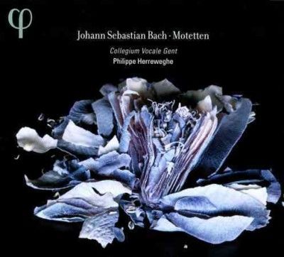Johann Sebastian Bach: Motetten (CD / Album Digipak)