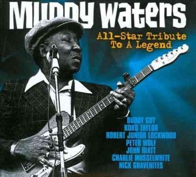 Muddy Waters (CD / Album)