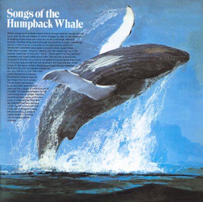 Song of the Humpback Whale (CD / Album)