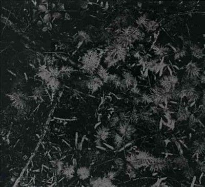 House Of Low Culture - Poisoned Soil (CD)