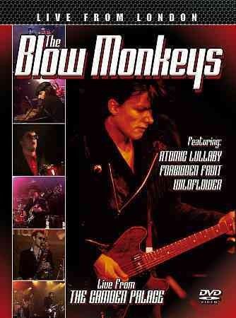 Blow Monkeys: Live from London(DVD)