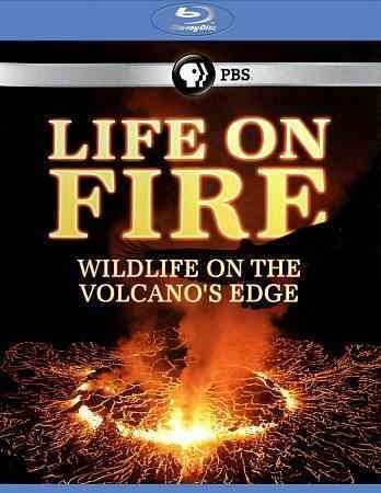 Life On Fire: Wildlife On The Volcano (Blu-ray)