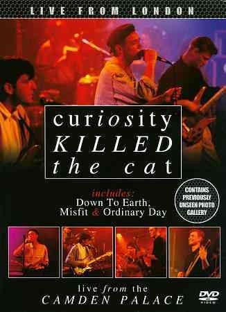 Curiosity Killed the Cat: Live from London(DVD)