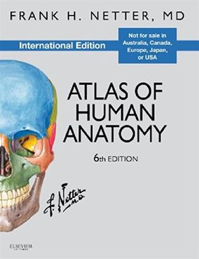 Atlas Of Human Anatomy 6th Edition | Buy Online in South Africa