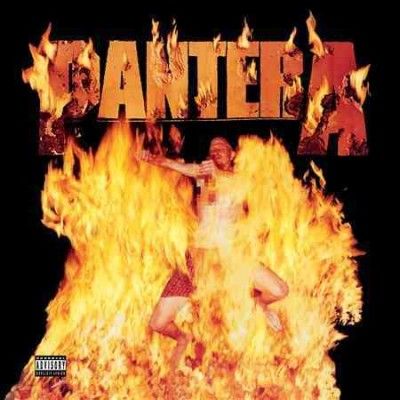 Reinventing The Steel (Vinyl)