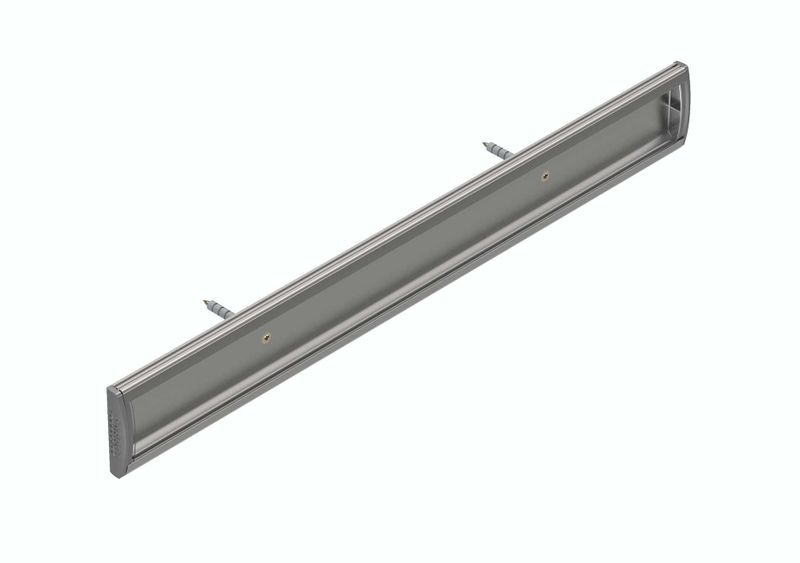 Parrot Sign Frame - 50 x 150mm
