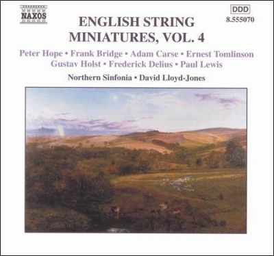 David Lloyd - Jones - English String Miniatures Vol. 4 (CD)