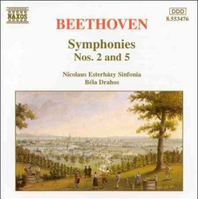 Symphonies Nos.2 &amp; 5 (CD)