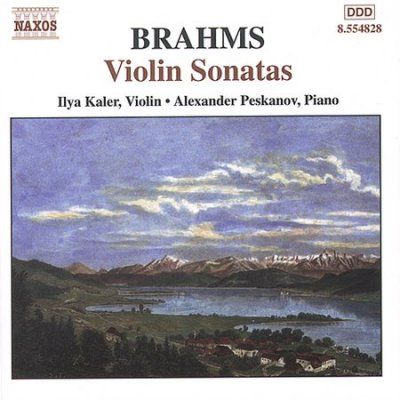 Sons For Vn &amp; Pf (CD)