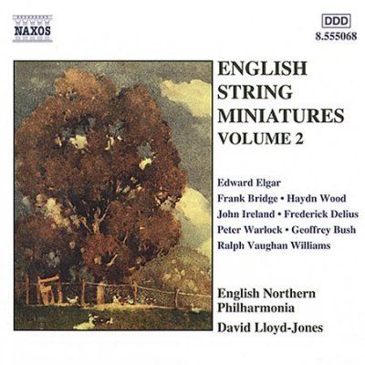 ENGLISH STRING MINIATURES VOLUME 2 (CD / Album)