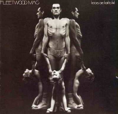 Fleetwood Mac - Heroes Are Hard To Find (CD)
