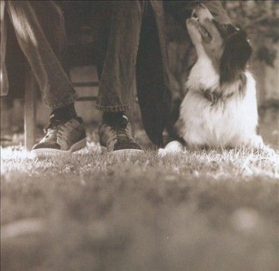 Good Dog, Happy Man (CD)
