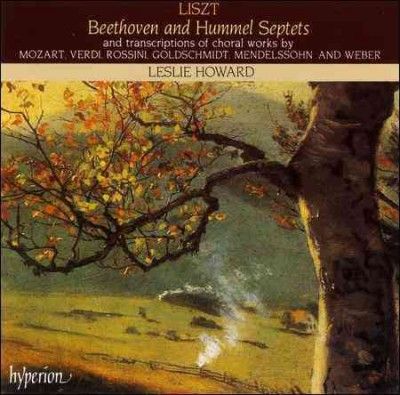 Leslie Howard - Liszt: Complete Music For Solo Piano V (CD)