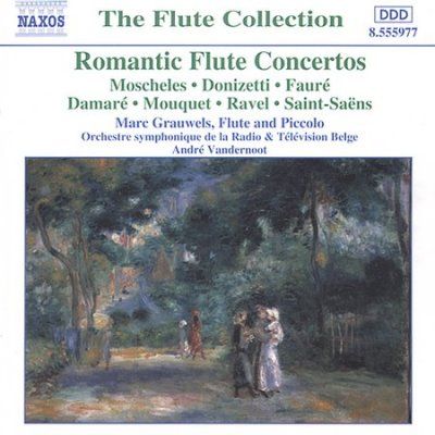 Romantic Flute Concertos (CD)