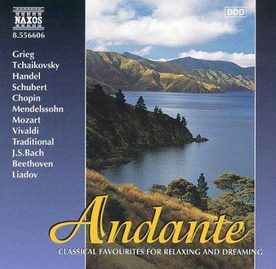 Andante - Vol.6 (CD)