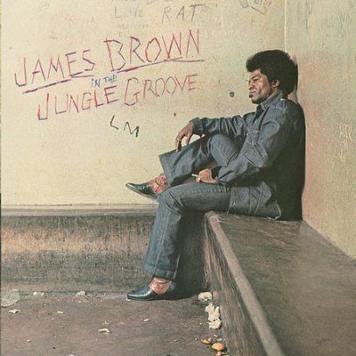 James Brown - In The Jungle Groove (CD)