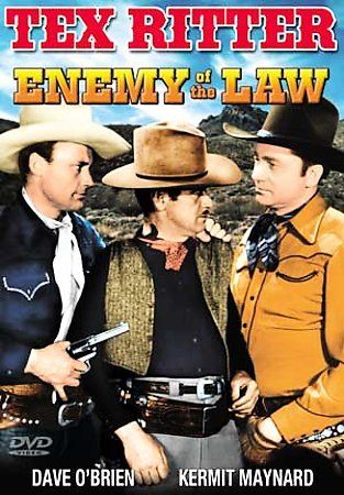 Enemy Of The Law (DVD)