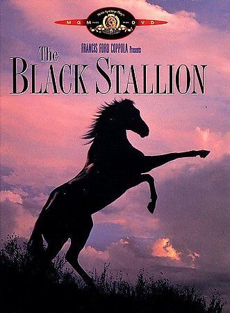 Black Stallion - (Region 1 Import DVD)