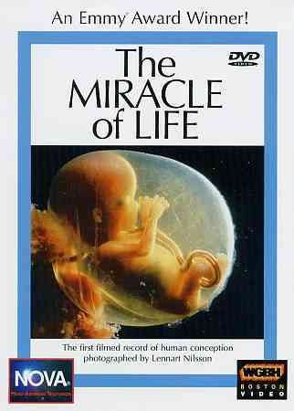 Miracle Of Life (DVD)